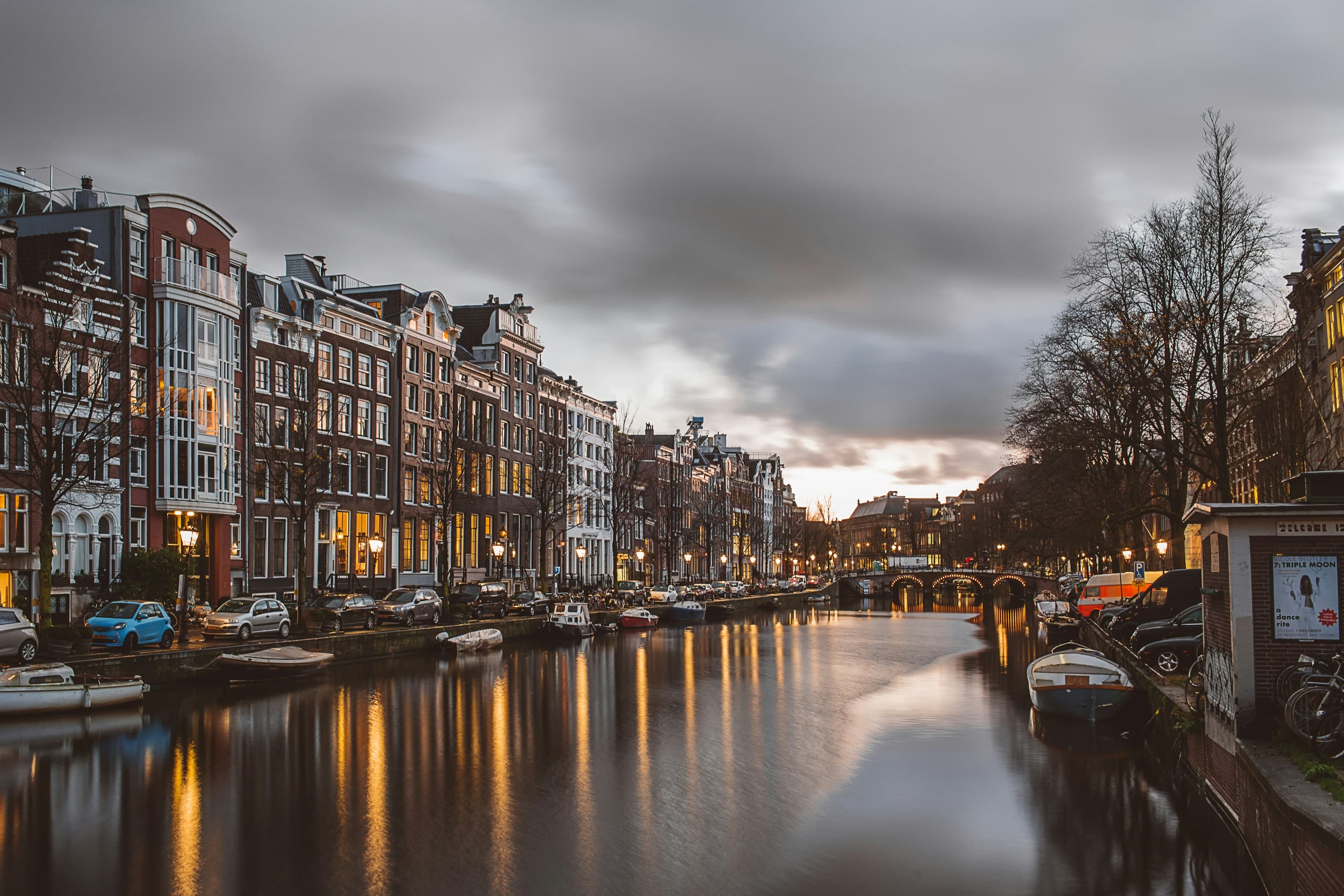 Study in Netherlands