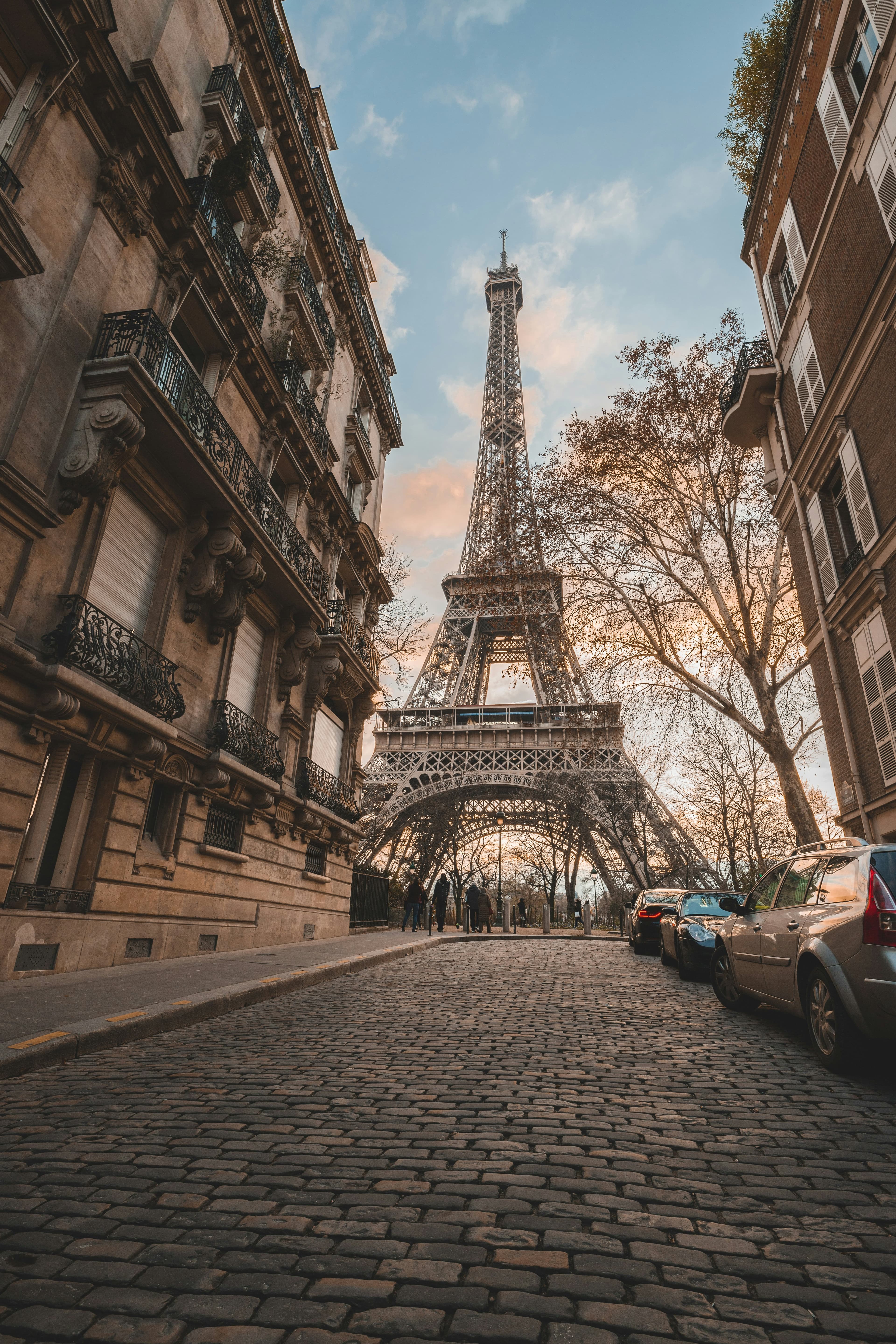 Study in France